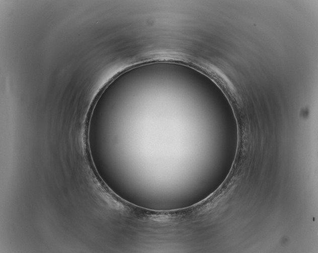 X0000094331182200711091358