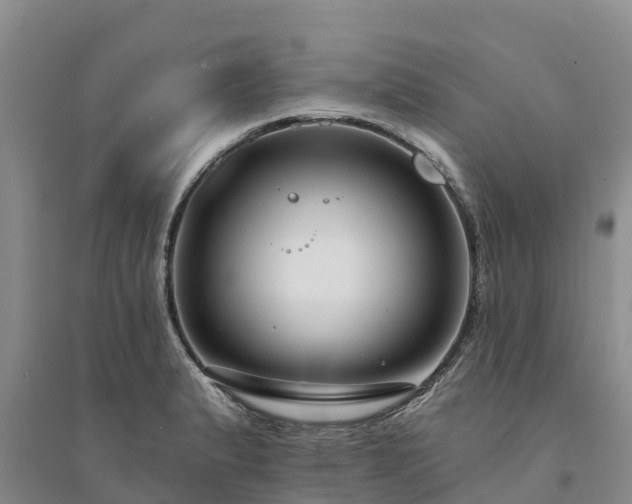 X0000094331183200711091358