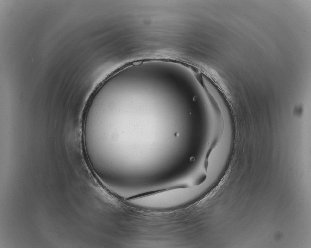 X0000094331184200711091358