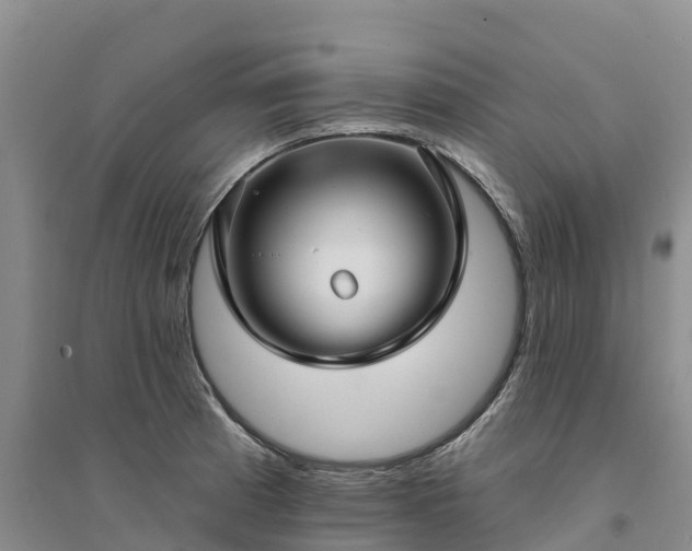 X0000094331185200711091358