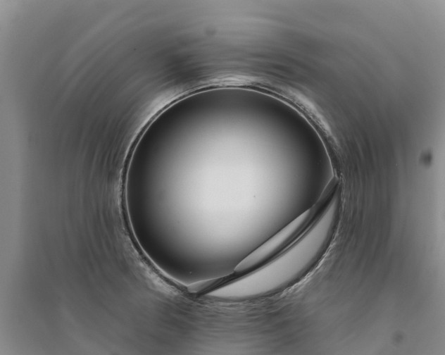 X0000094331186200711091358