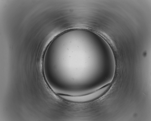 X0000094331188200711091358