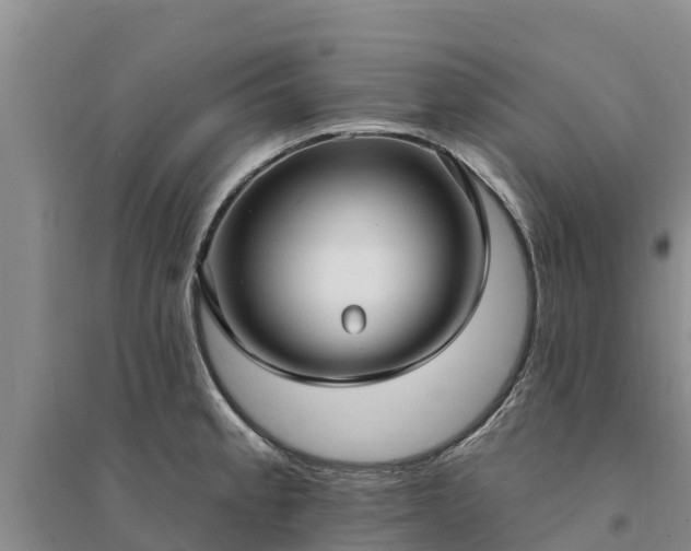 X0000094331189200711091358