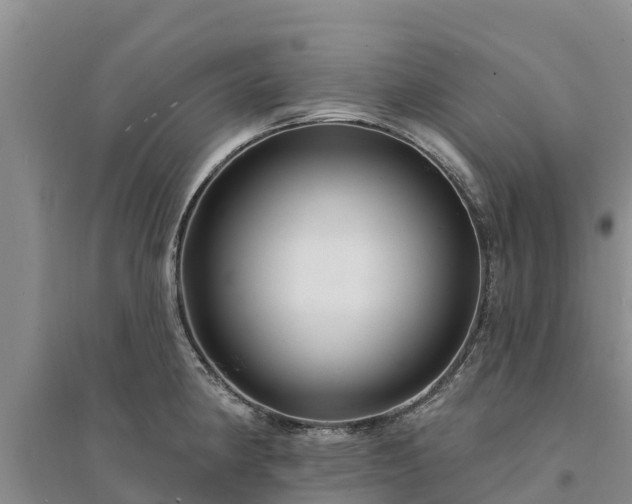 X0000094331190200711091358