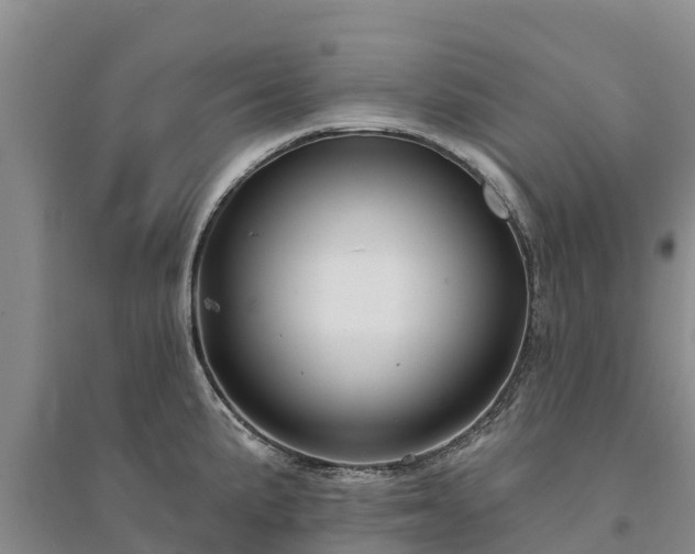 X0000094331191200711091358