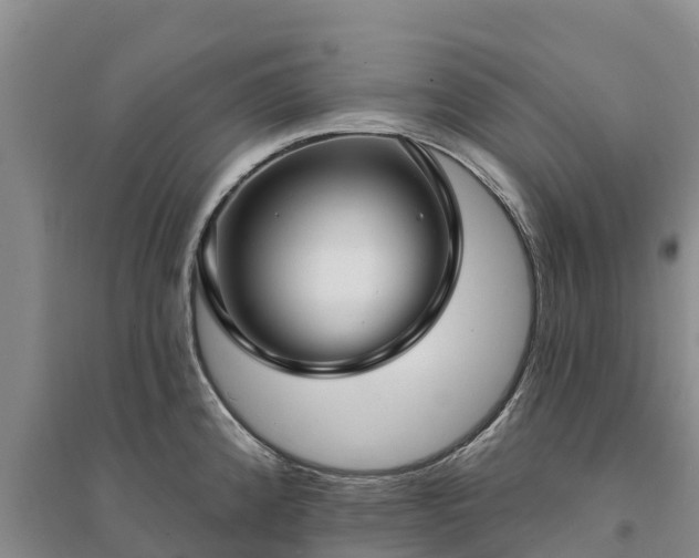 X0000094331192200711091357