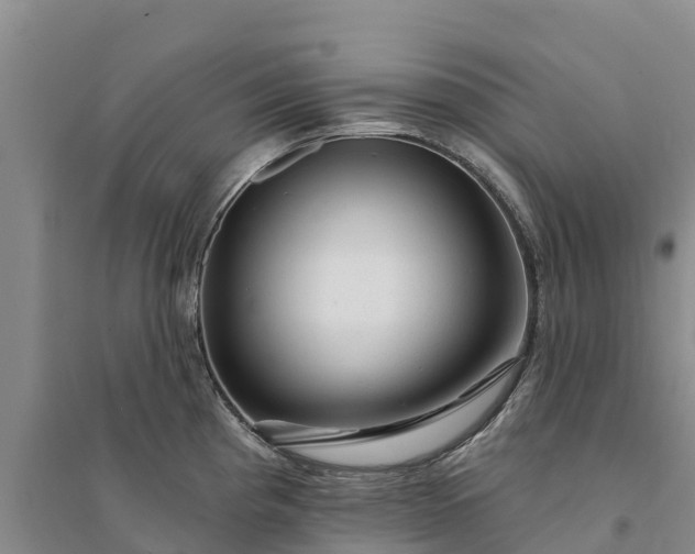 X0000094331193200711091357