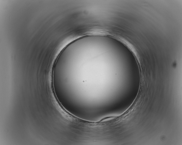 X0000094331195200711091357