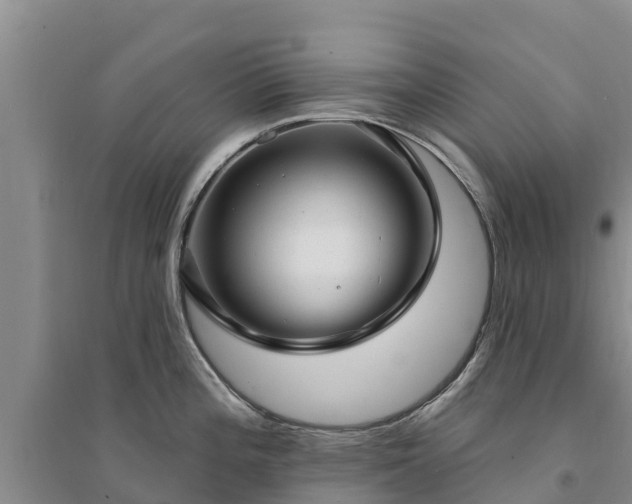 X0000094331196200711091357