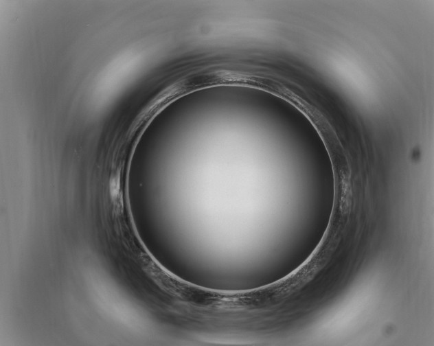 X0000094331198200711091357