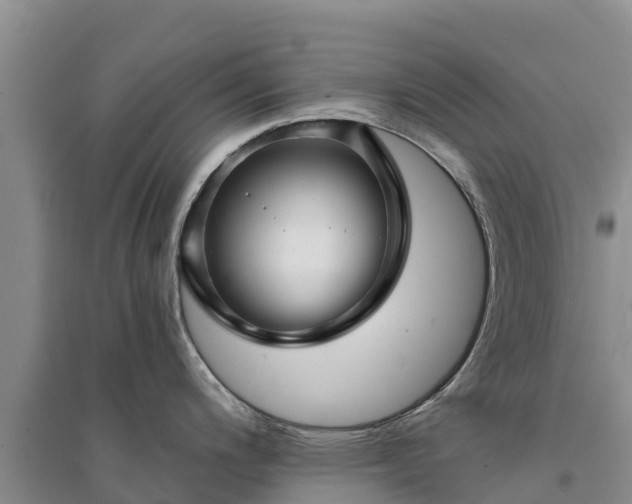 X0000094331200200711091357