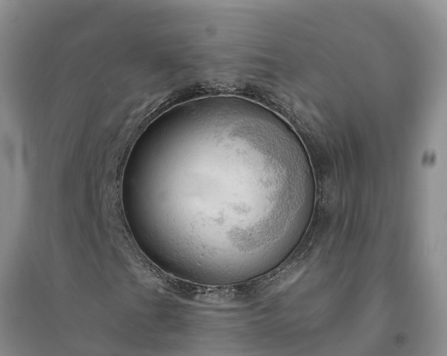 X0000094331201200711091357