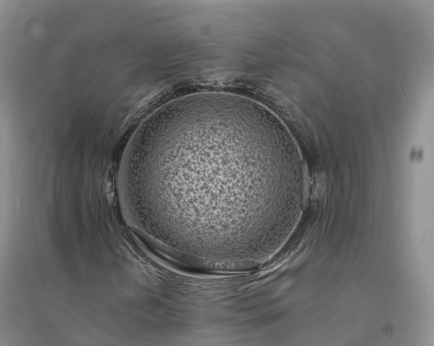 X0000094331202200711091357