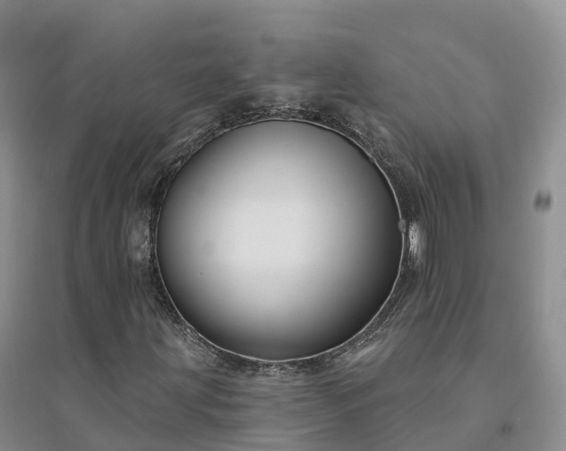 X0000094331203200711091357