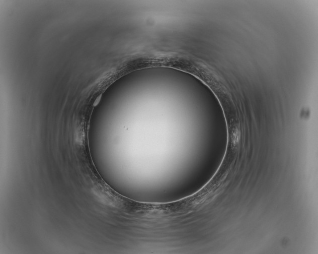 X0000094331204200711091357