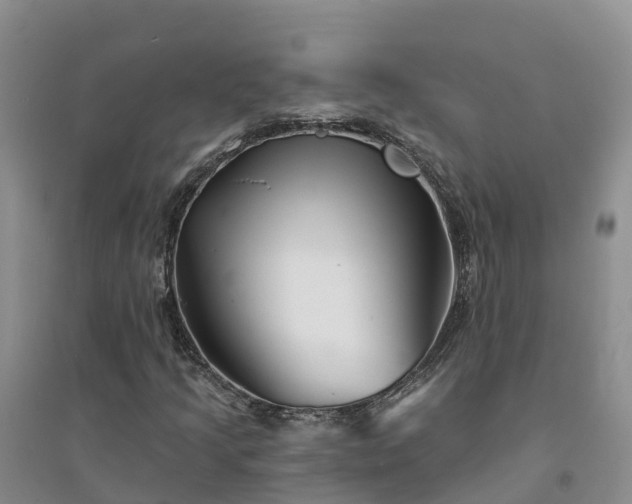 X0000094331205200711091357