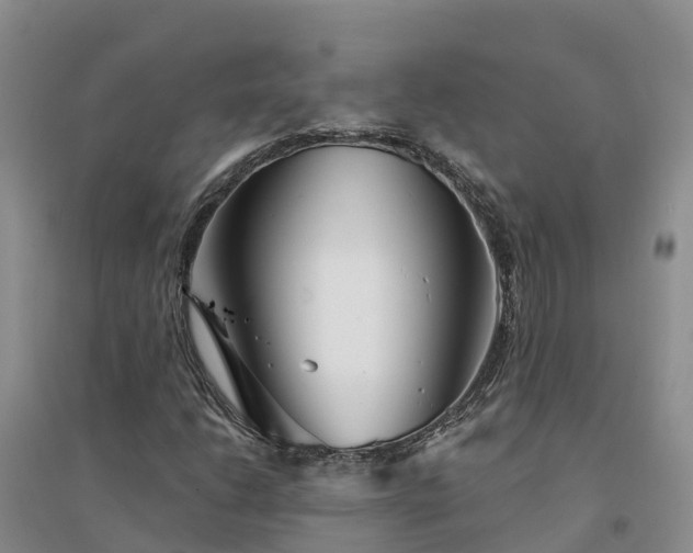 X0000094331206200711091357