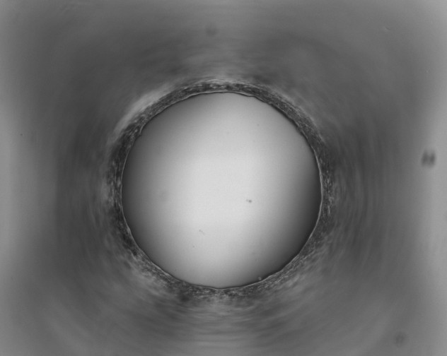 X0000094331207200711091357