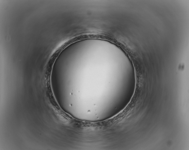 X0000094331208200711091357