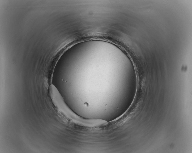X0000094331209200711091357