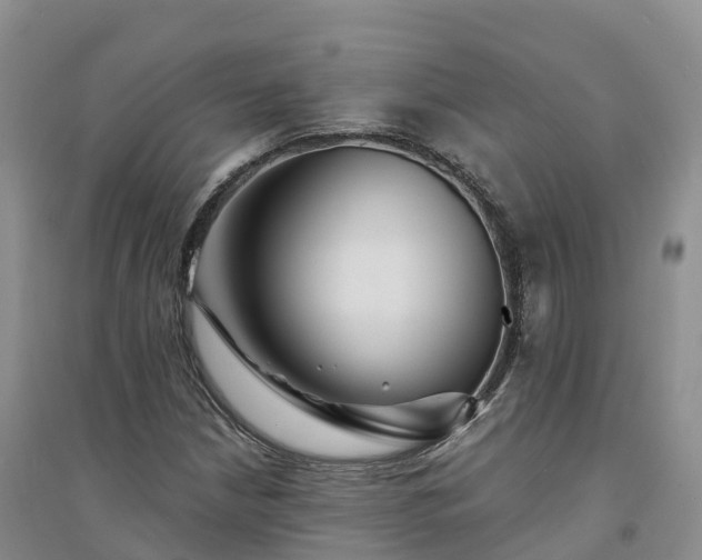X0000094331210200711091357