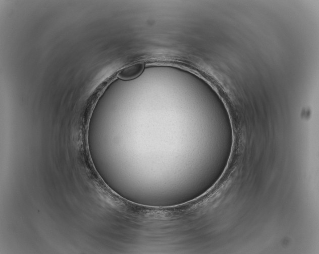 X0000094331211200711091357