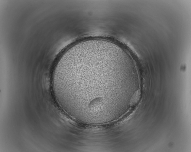X0000094331213200711091357