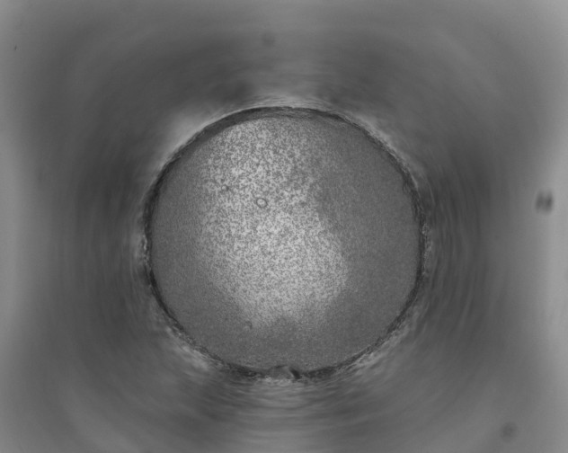 X0000094331215200711091357