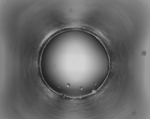 X0000094331216200711091357