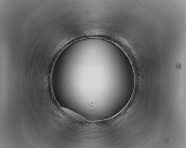 X0000094331217200711091357