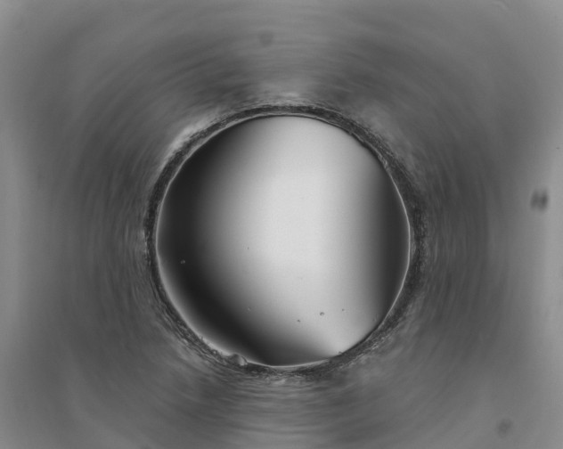 X0000094331218200711091357
