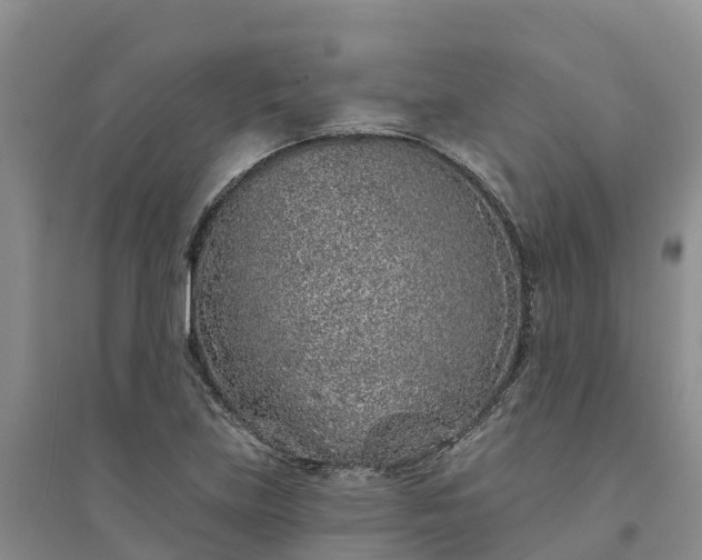 X0000094331219200711091357