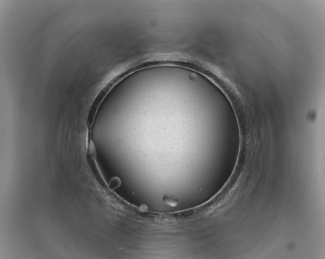 X0000094331221200711091357