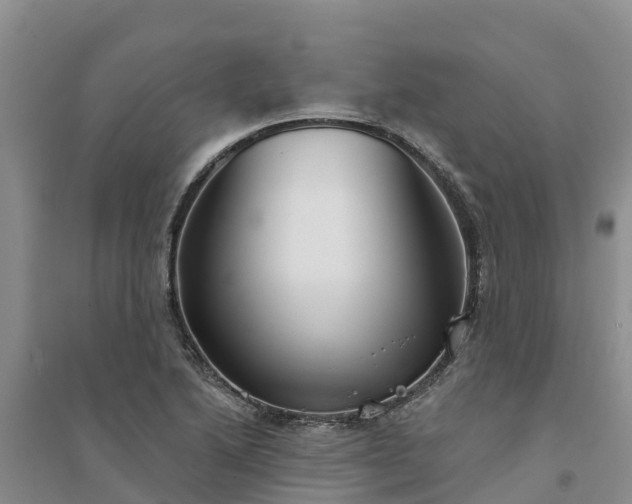 X0000094331222200711091357