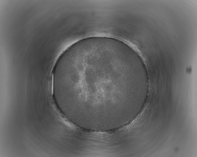 X0000094331223200711091357