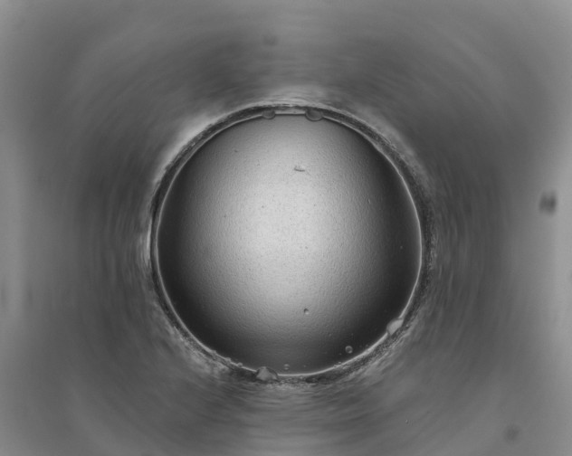 X0000094331224200711091357