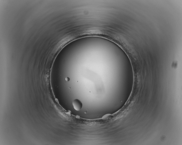 X0000094331225200711091357