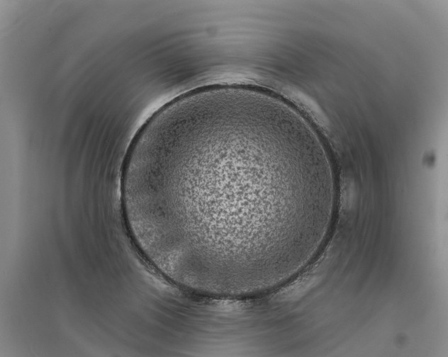 X0000094331226200711091357