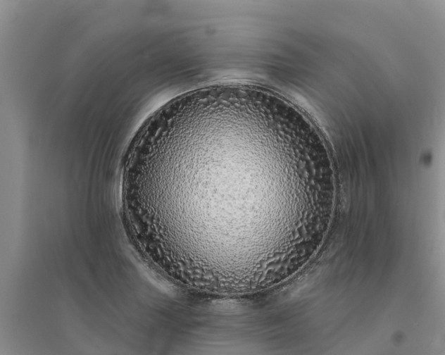X0000094331227200711091357