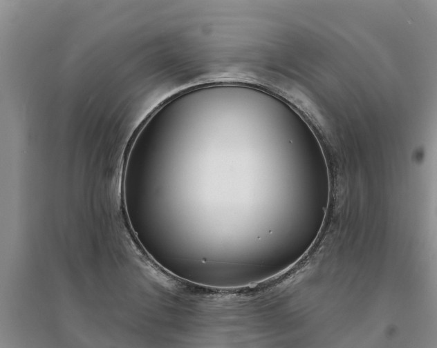 X0000094331228200711091357