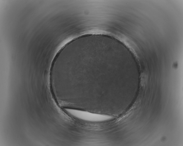 X0000094331229200711091357