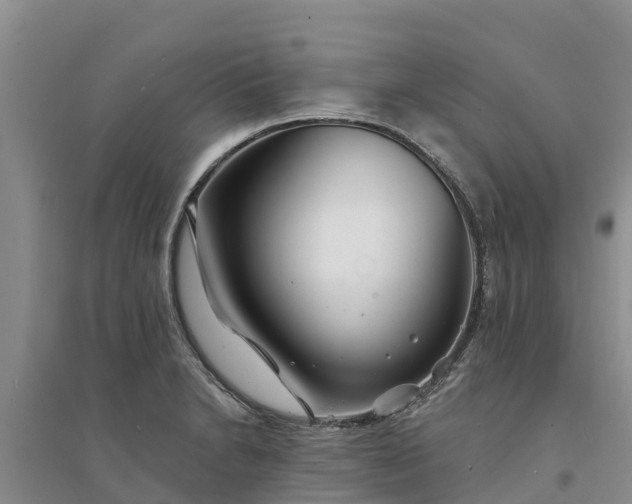 X0000094331230200711091357