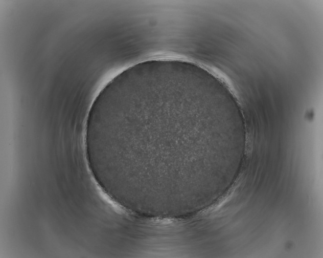 X0000094331231200711091357
