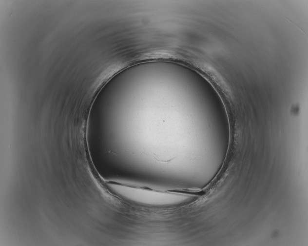 X0000094331233200711091357