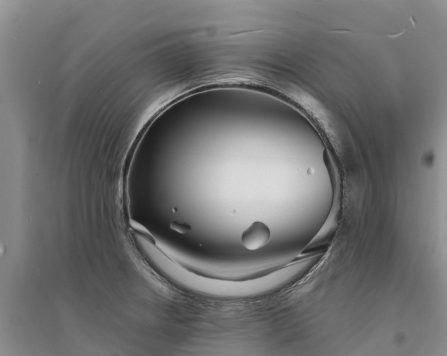 X0000094331234200711091357