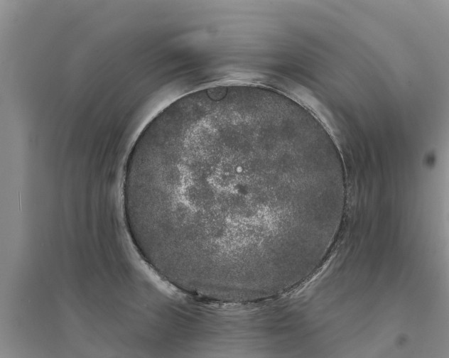 X0000094331235200711091357