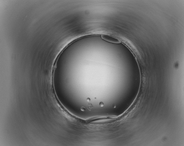 X0000094331236200711091357