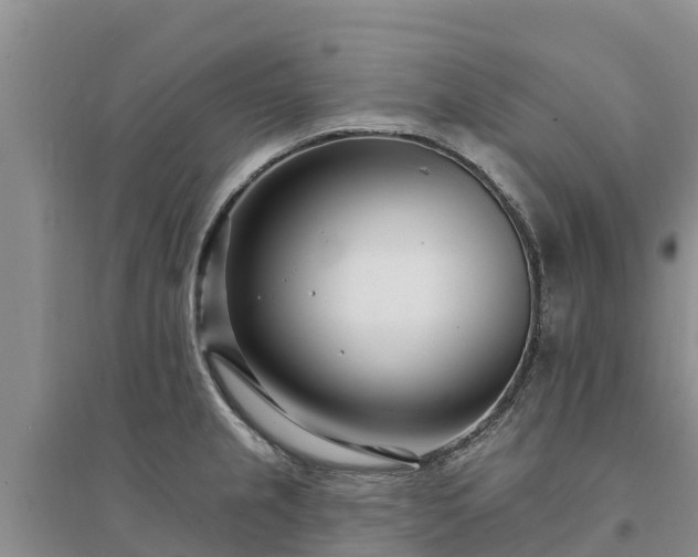 X0000094331237200711091357