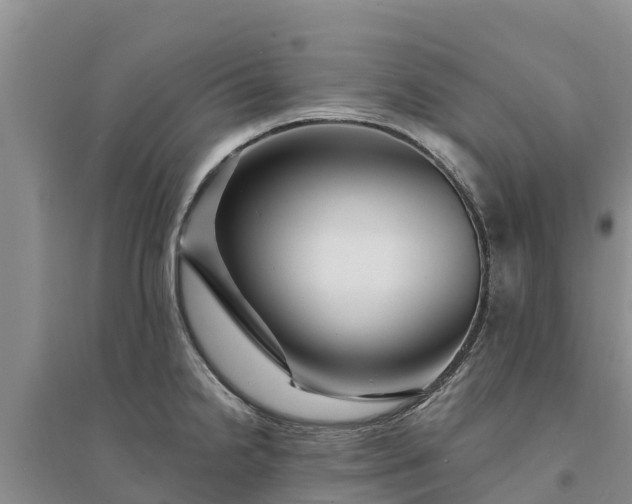 X0000094331238200711091357