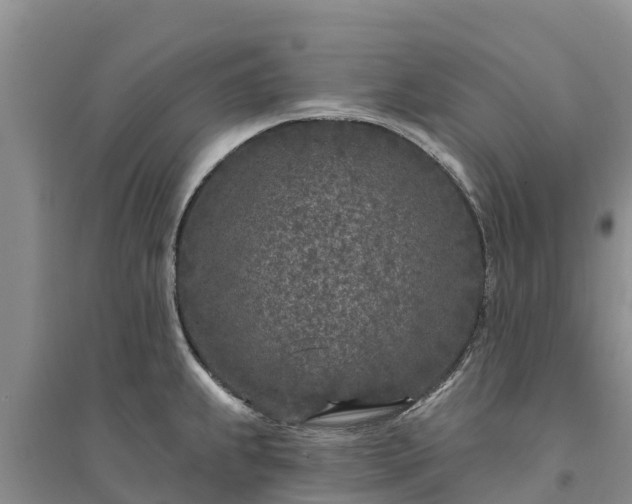 X0000094331239200711091357